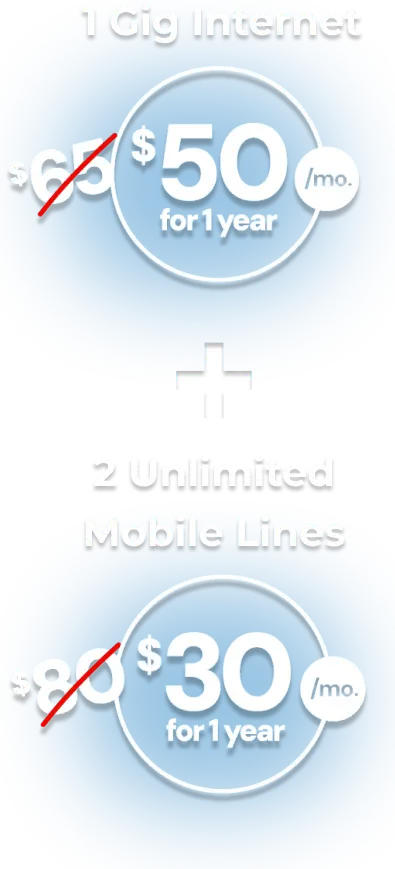 Our Best Deal of the Year. Internet 300 $35 a year for one year when you bundle with 2 unlimited mobile lines!