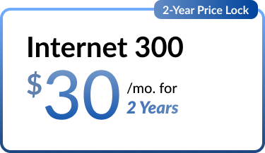 Mediacom Internet 300. $30 per mo. for 2 years. 